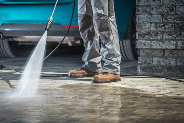 Best Factory Floor Cleaning  in Temple Terrace, FL
